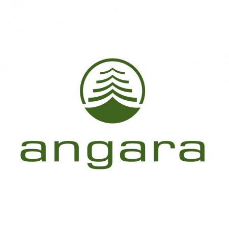 Логотип «Angara»